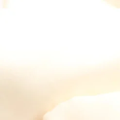 Blazer                            Größe                36